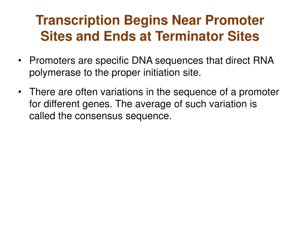 transcription begins near promoter sites and ends