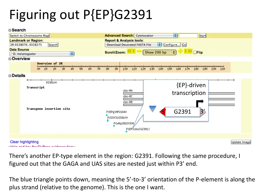 figuring out p ep g2391