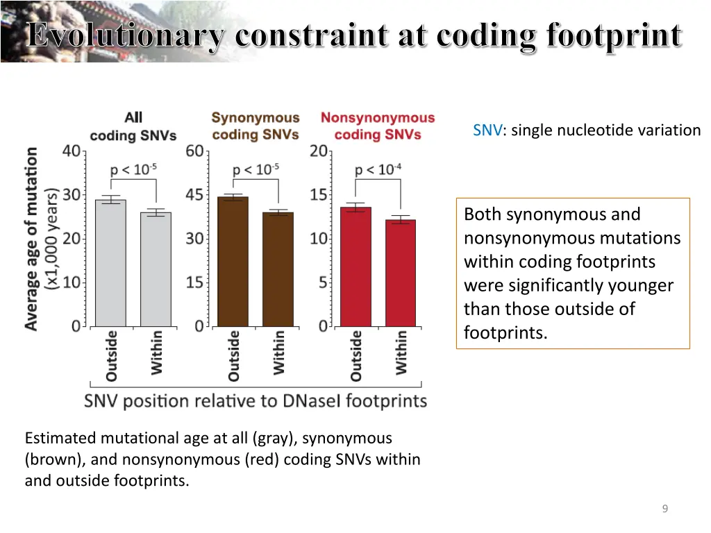 evolutionary constraint at coding footprint