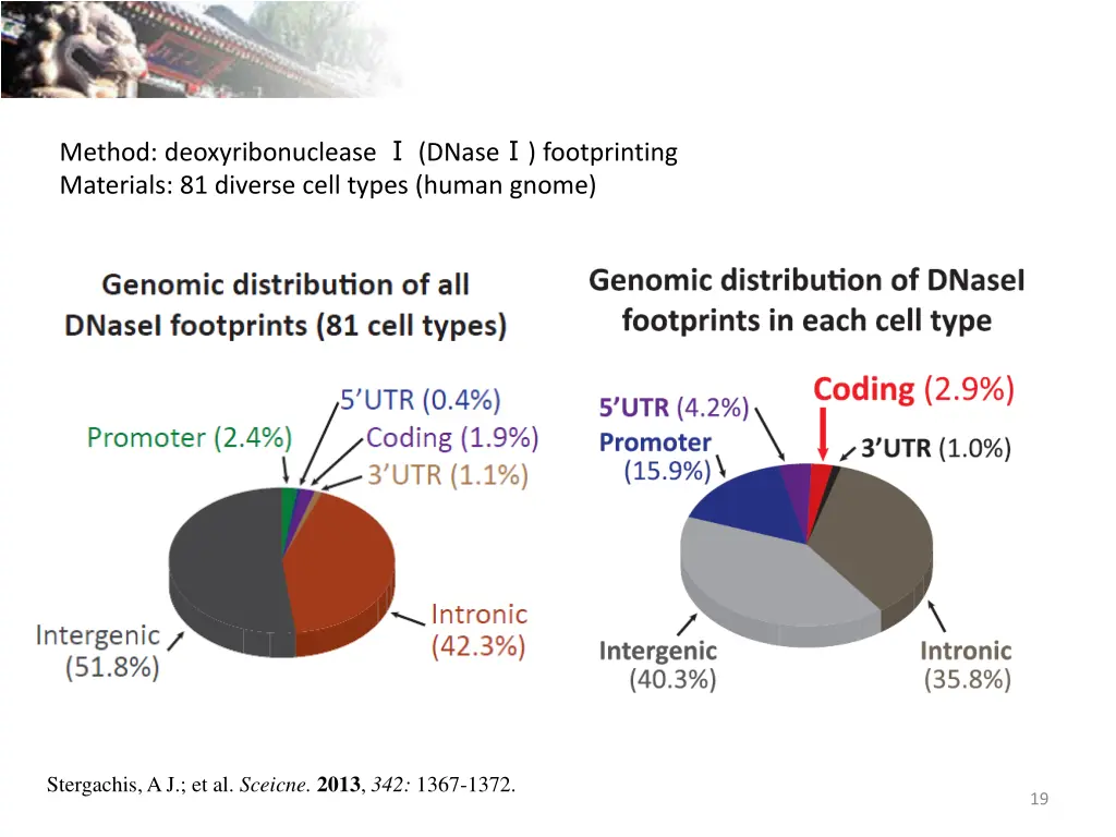 method deoxyribonuclease dnase footprinting