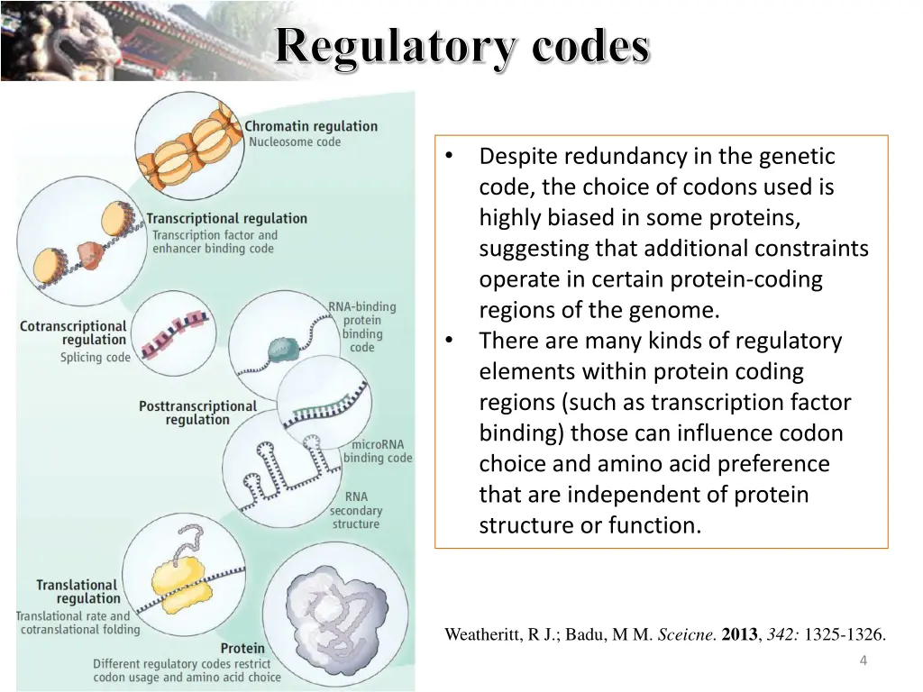 regulatory codes