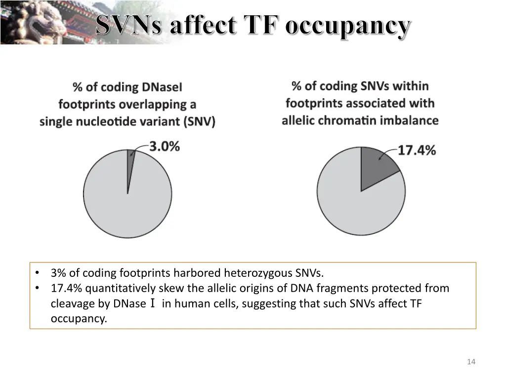 svns affect tf occupancy