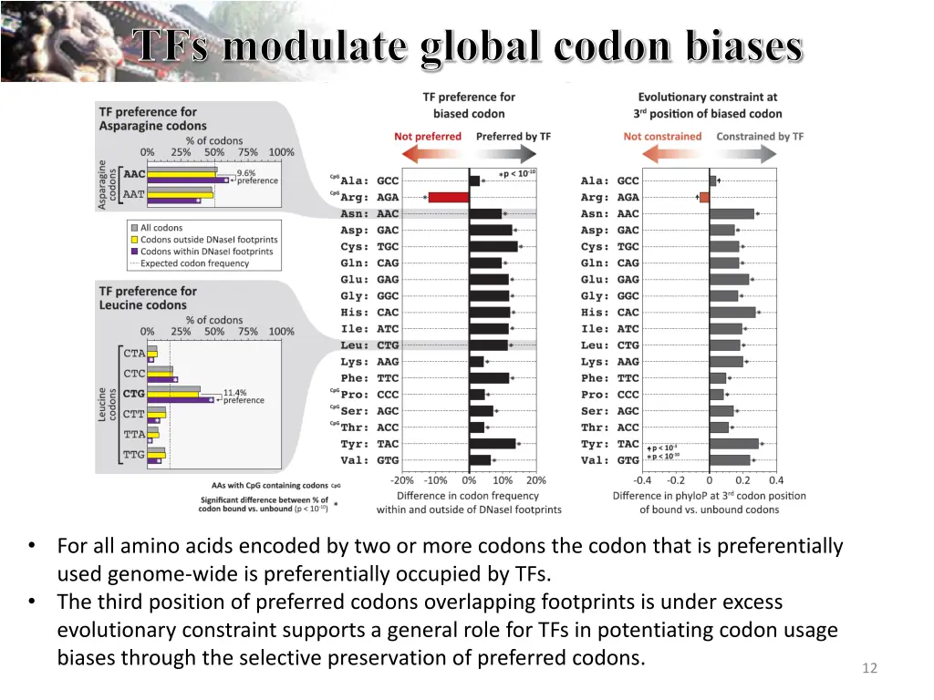 tfs modulate global codon biases