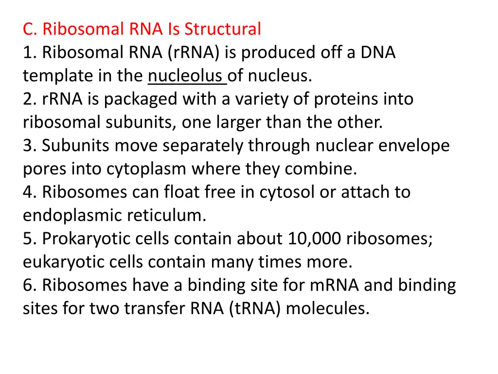 c ribosomal rna is structural 1 ribosomal