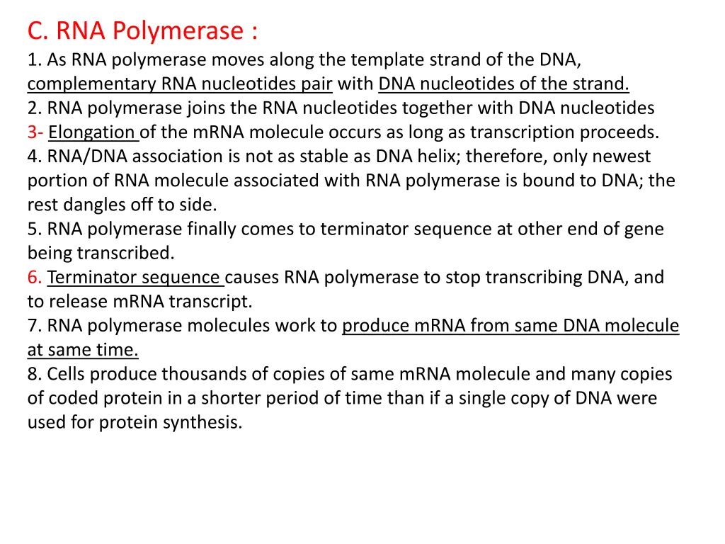 c rna polymerase 1 as rna polymerase moves along