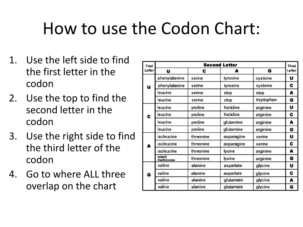 how to use the codon chart