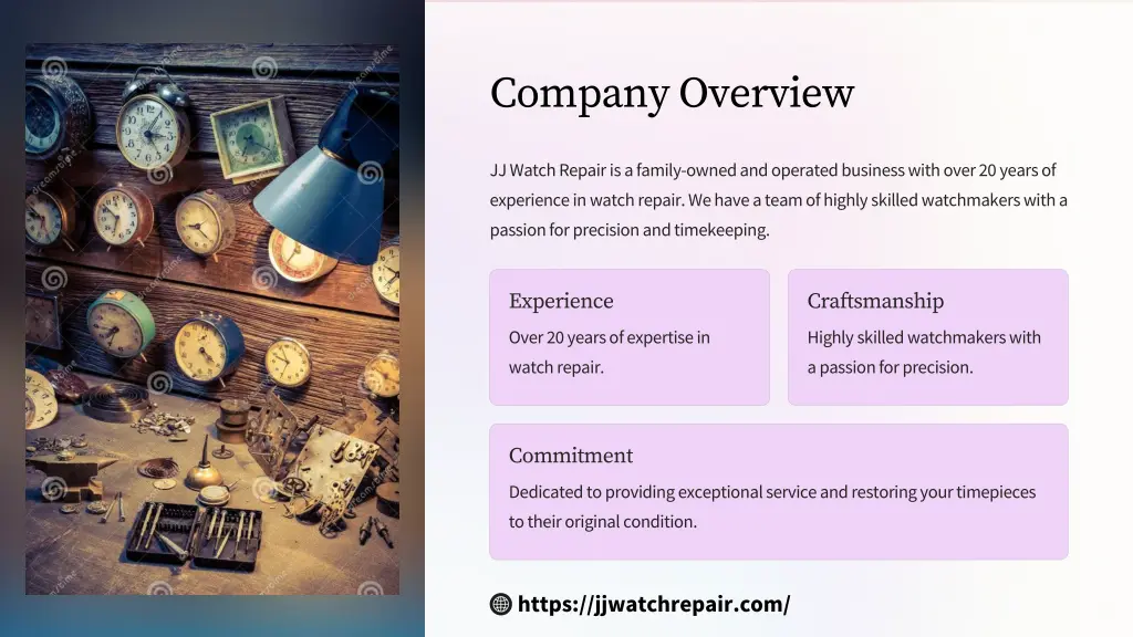 company overview