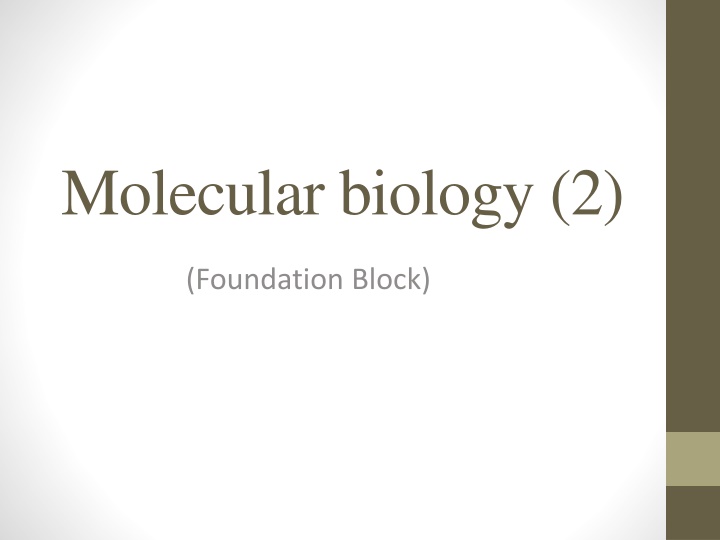 molecular biology 2