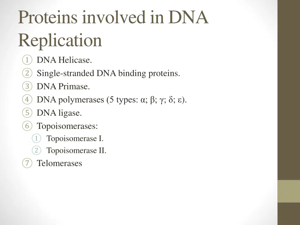 proteins involved in dna replication dna helicase