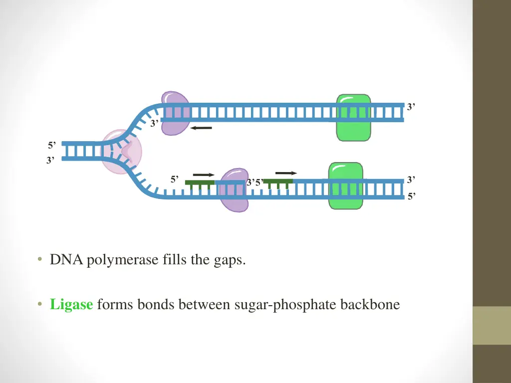 slide11