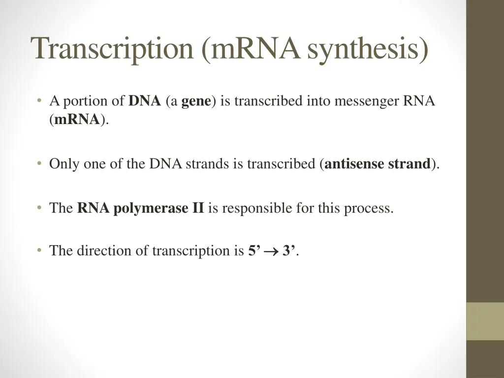 transcription mrna synthesis