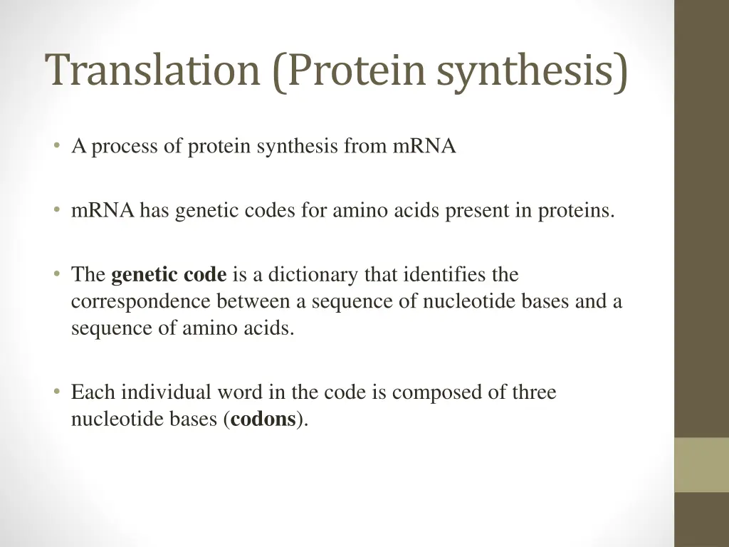 translation protein synthesis