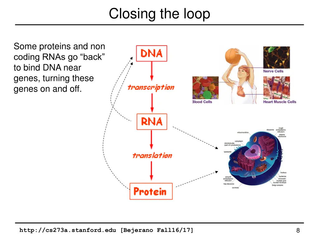 closing the loop