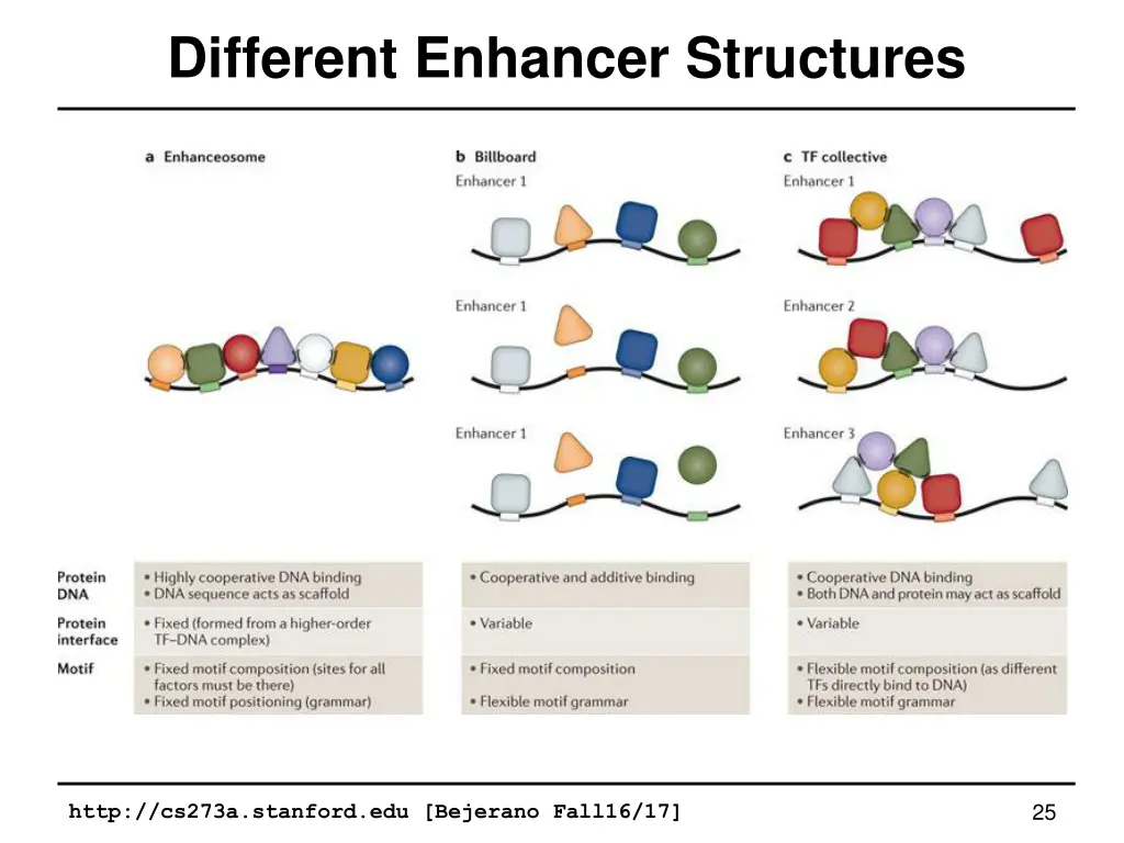 different enhancer structures