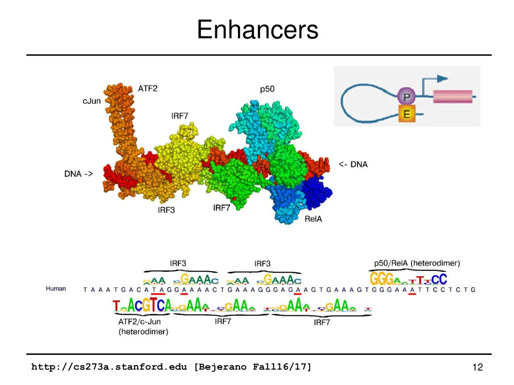 enhancers