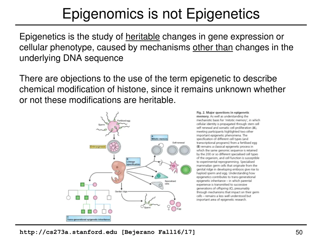 epigenomics is not epigenetics