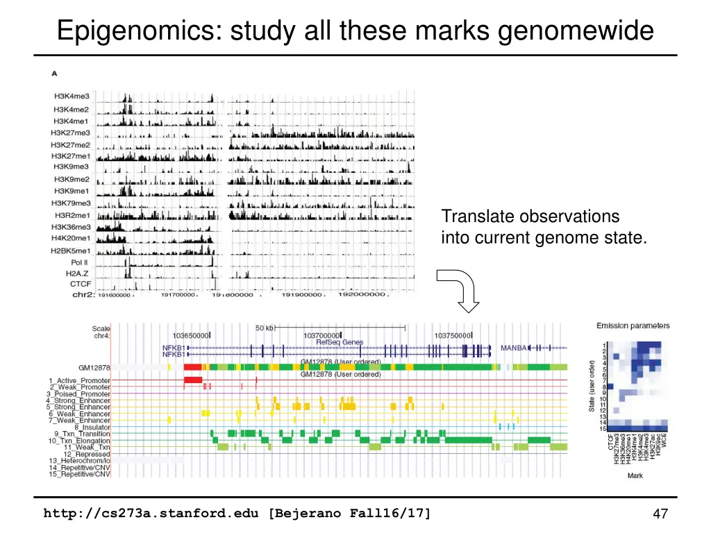 epigenomics study all these marks genomewide