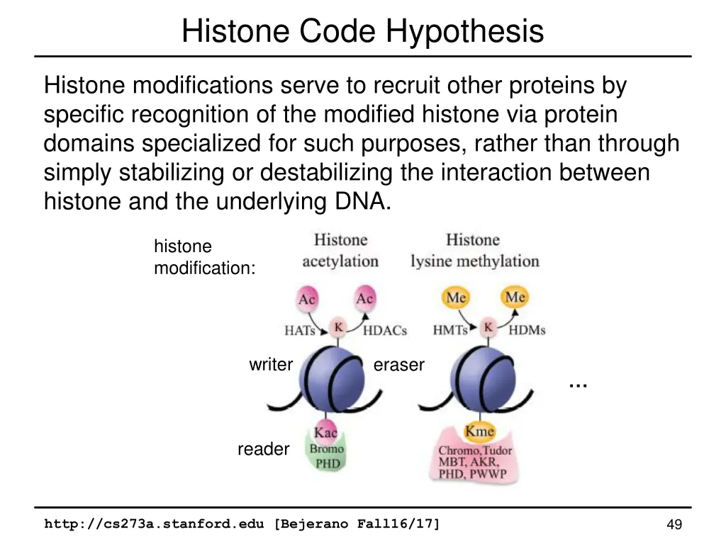 histone code hypothesis