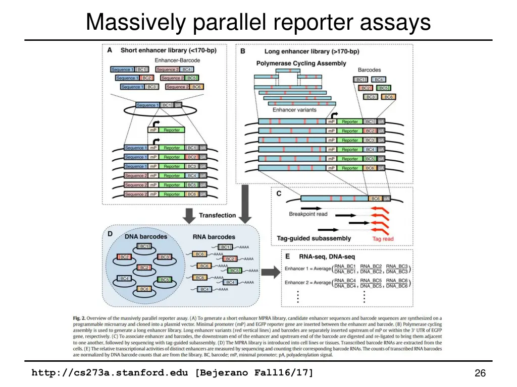 massively parallel reporter assays