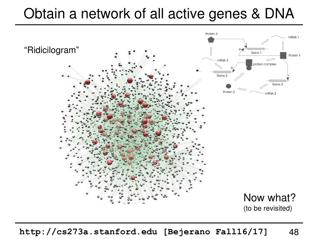 obtain a network of all active genes dna