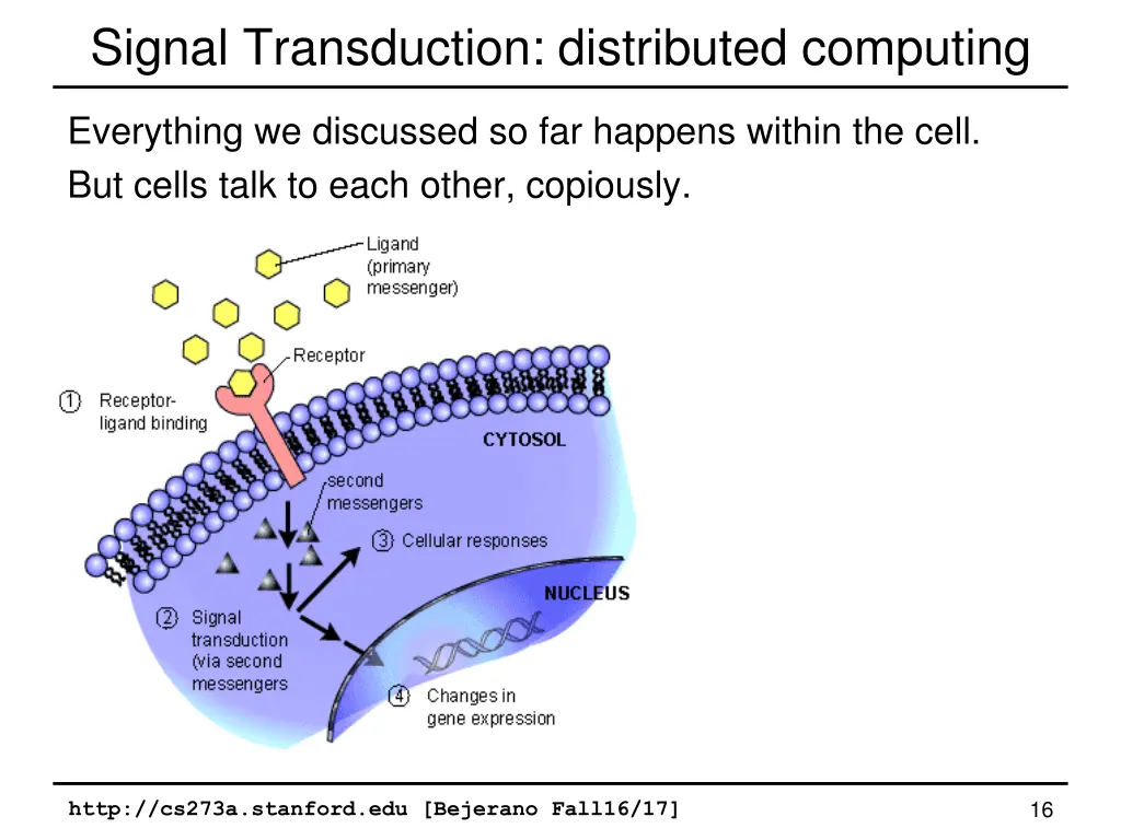 signal transduction distributed computing