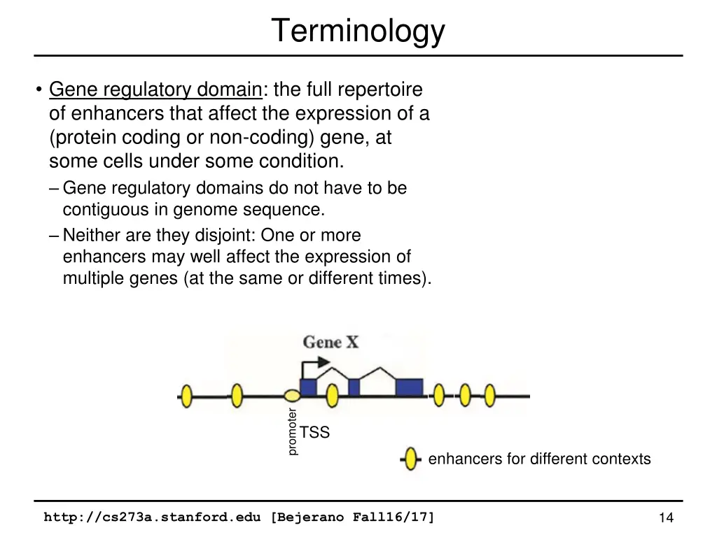 terminology