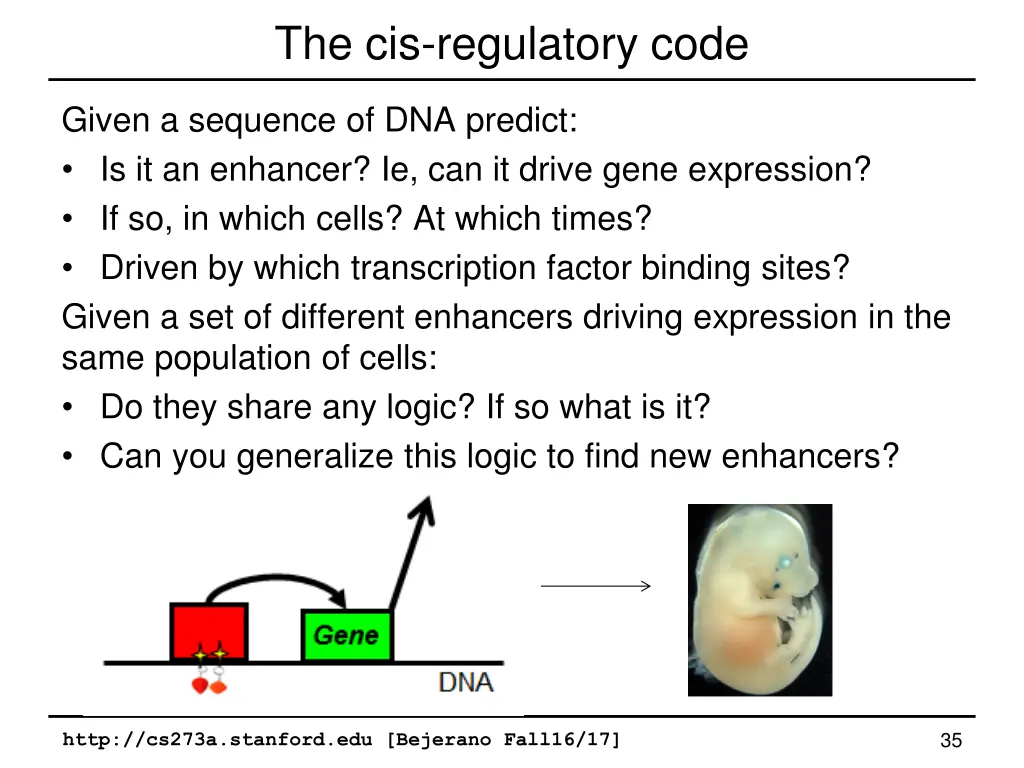 the cis regulatory code