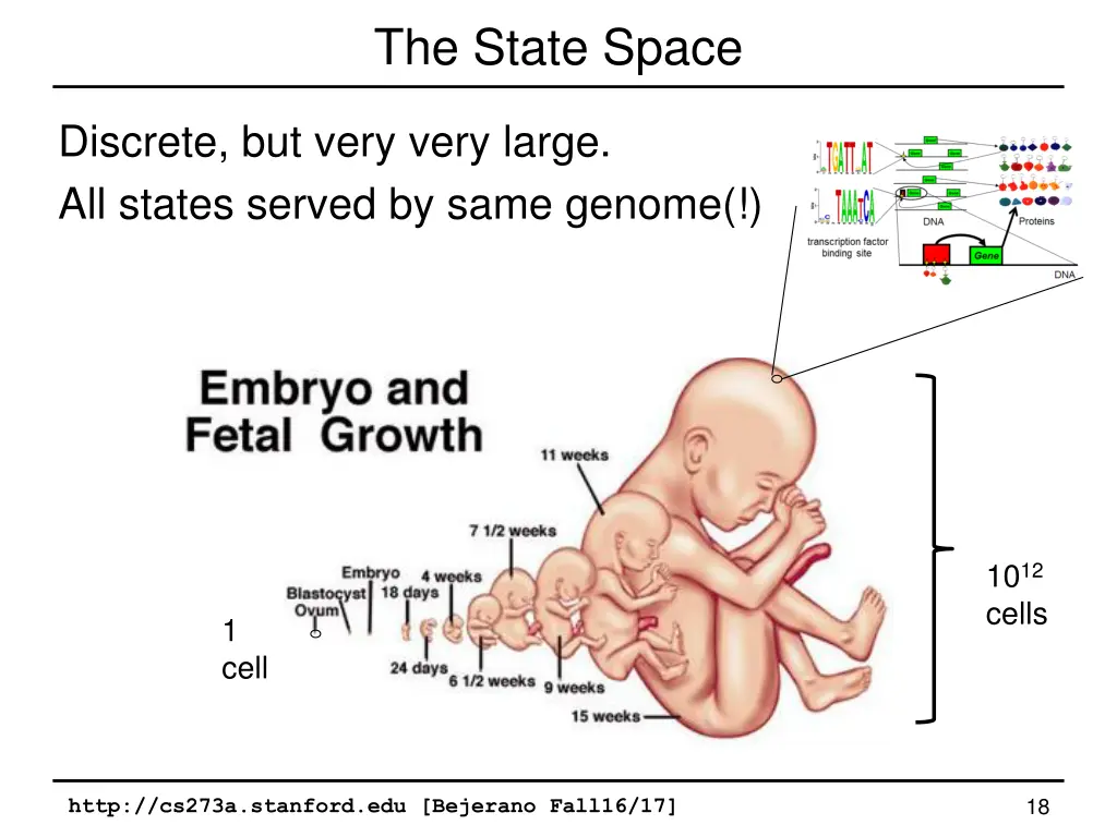 the state space