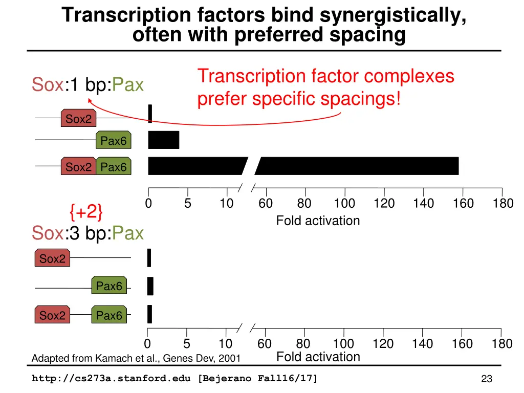 transcription factors bind synergistically often