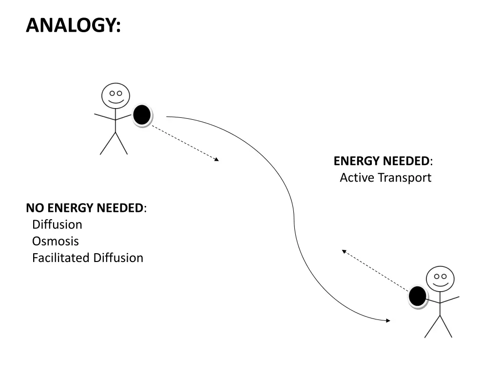 analogy