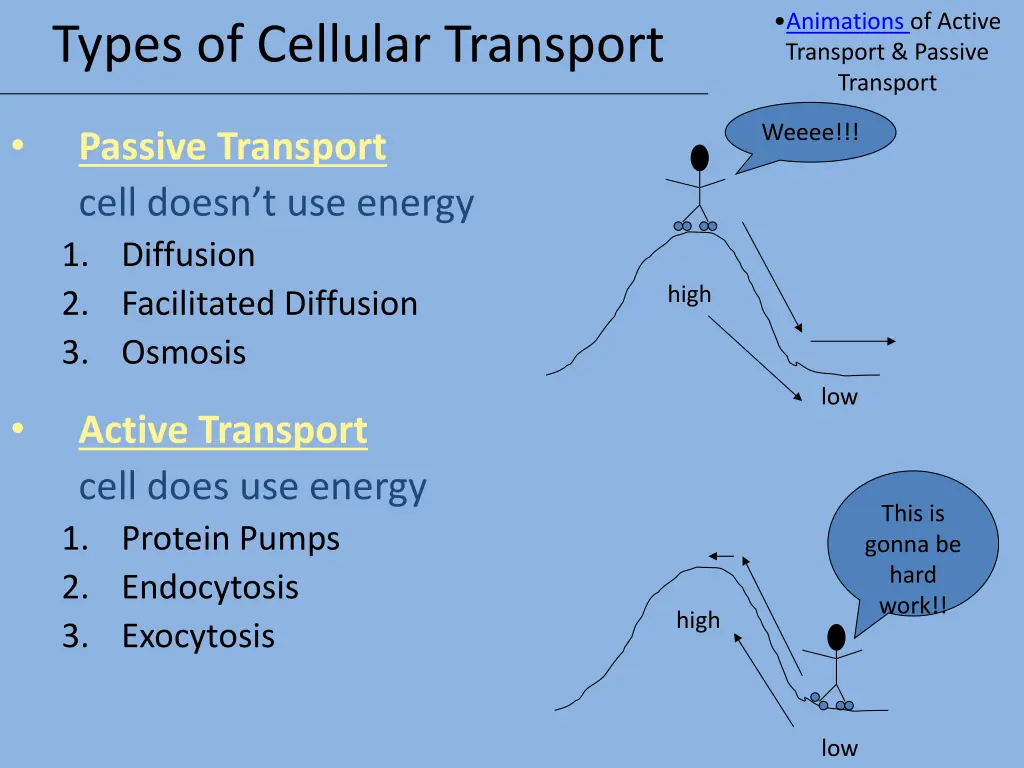 animations of active transport passive transport