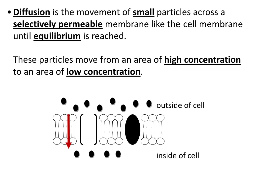 diffusion is the movement of small particles