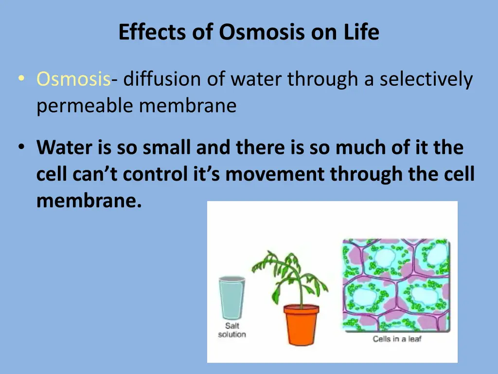 effects of osmosis on life