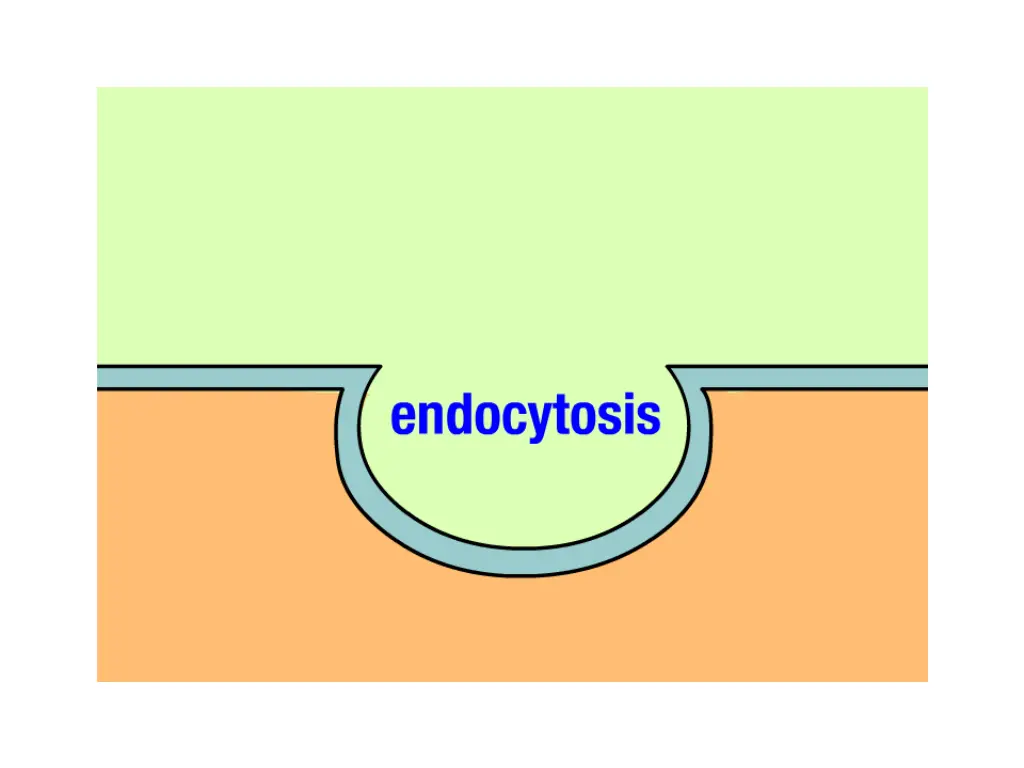 slide24