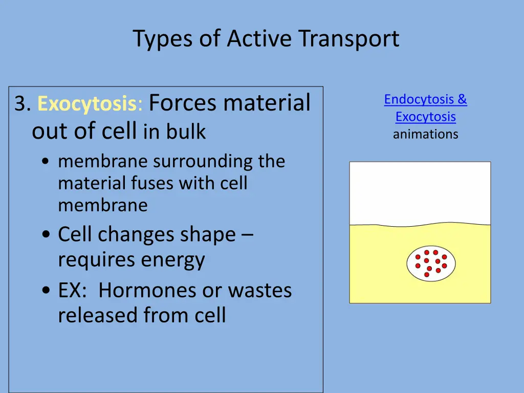 types of active transport