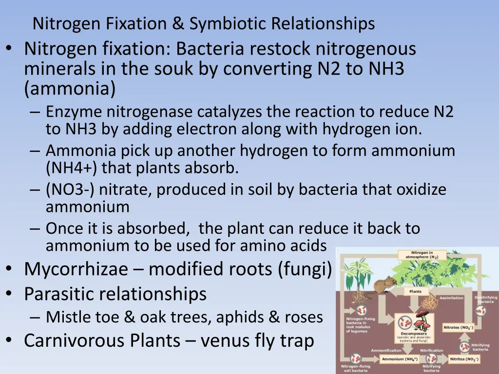 nitrogen fixation symbiotic relationships