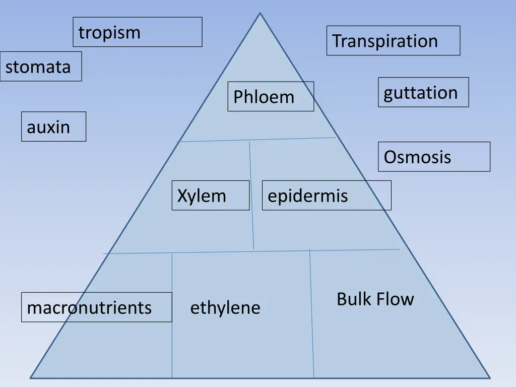 tropism