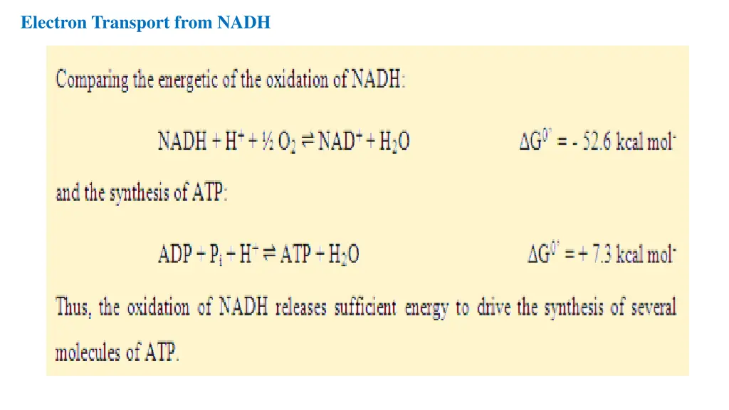 electron transport from nadh