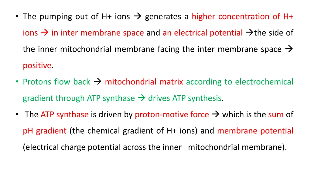 the pumping out of h ions generates a higher