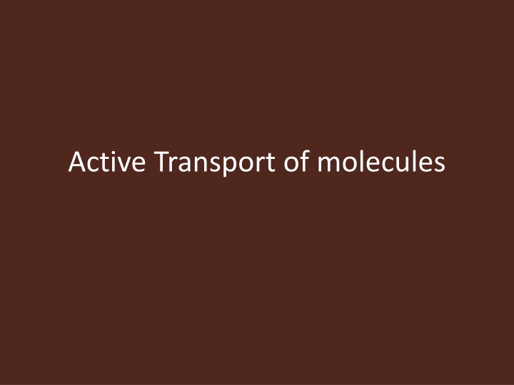 active transport of molecules