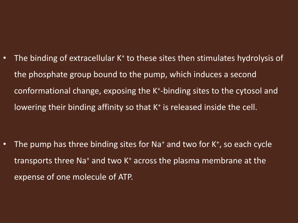 the binding of extracellular k to these sites