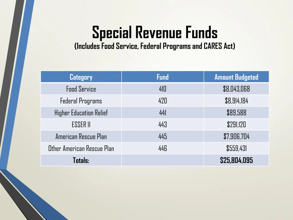 special revenue funds includes food service