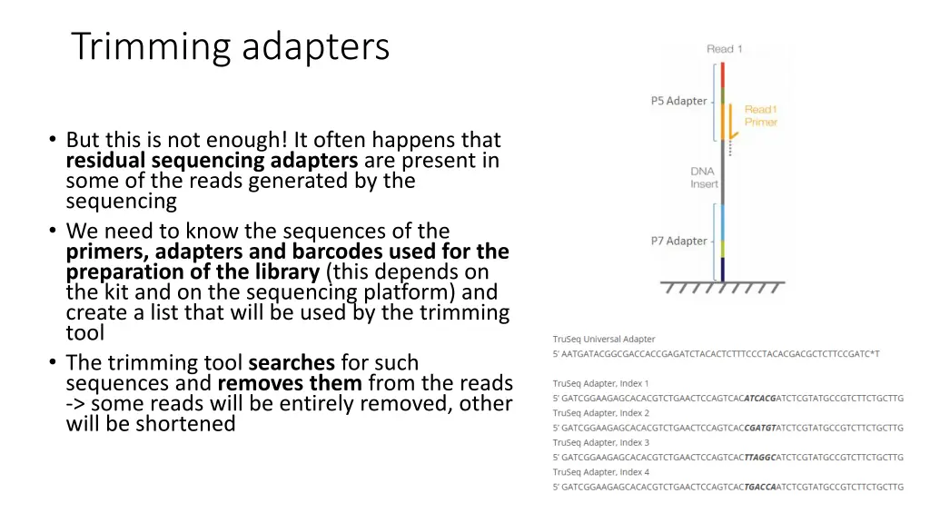 trimming adapters