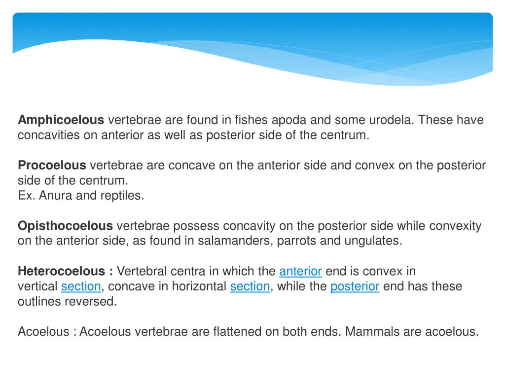 amphicoelous vertebrae are found in fishes apoda