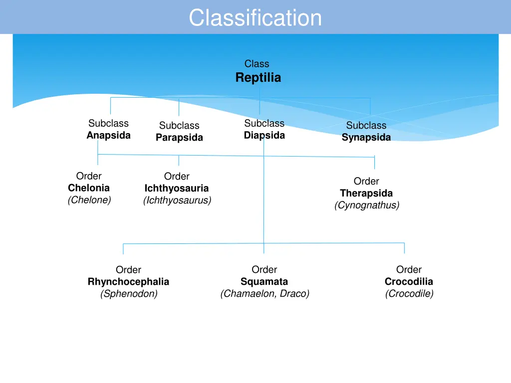 classification