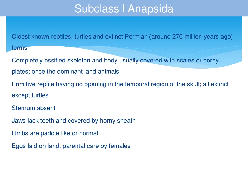 subclass i anapsida