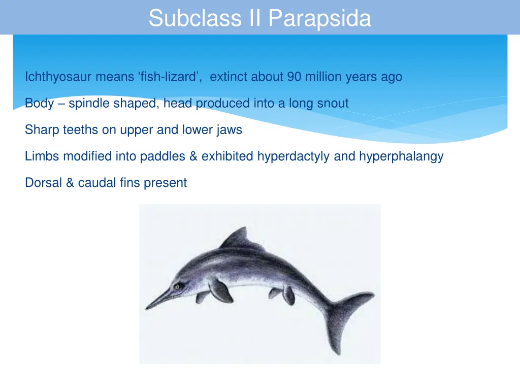 subclass ii parapsida 1