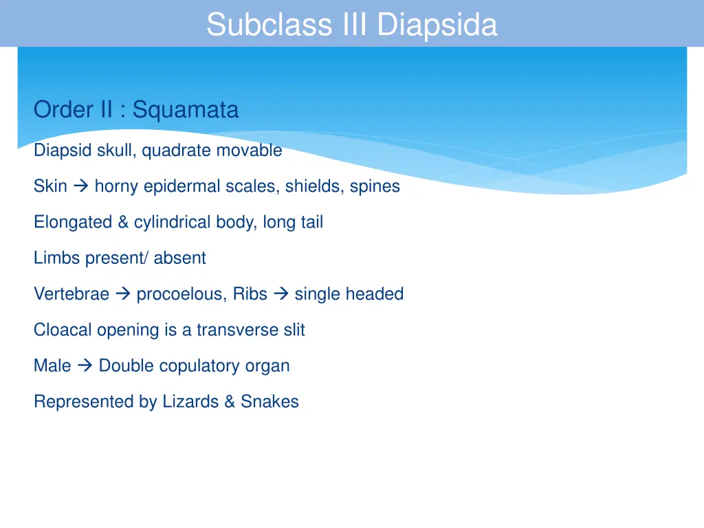 subclass iii diapsida 3