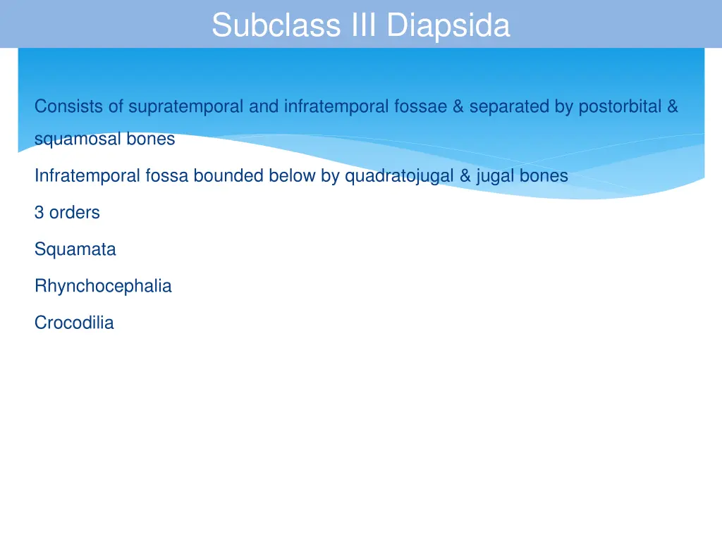 subclass iii diapsida