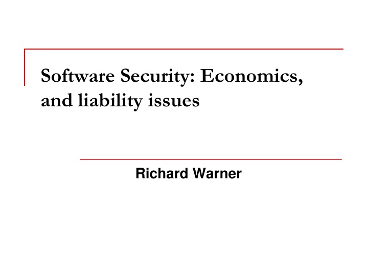 software security economics and liability issues